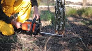 Best Lawn Grading and Leveling  in Iceville, AL